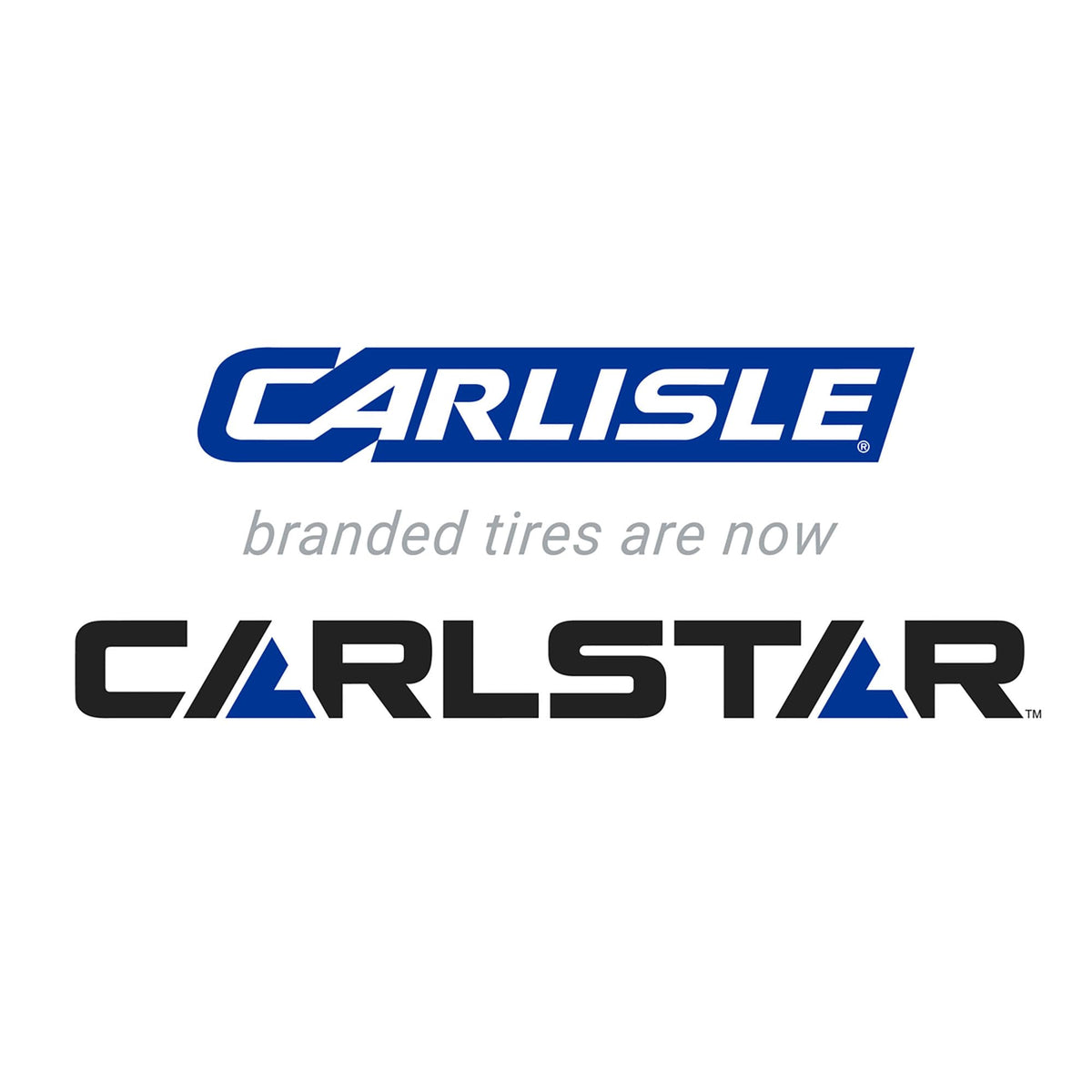 Carlisle Turf Saver Lawn & Garden Tire - 22X9.50-12