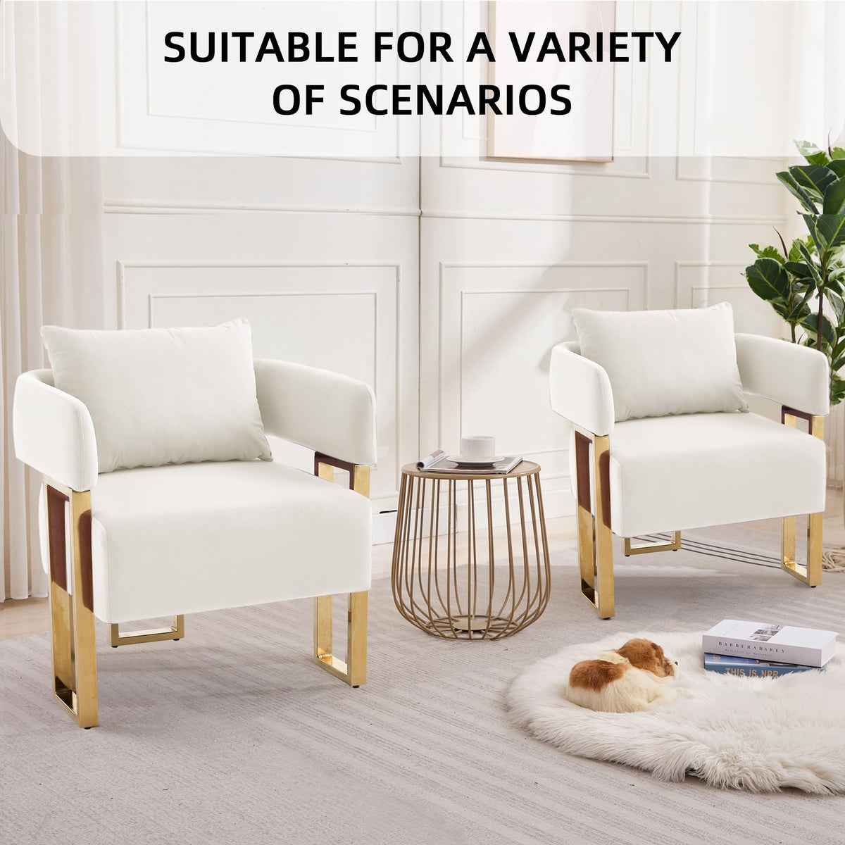 YISHENG Modern Barrel Accent Chairs Set of 2, Living Room Side Chairs with Golden Metal Legs Soft Upholstered Reading Armchairs no Wheels for Vanity/Reception Room//Bedroom/Lounge/Office,Black Teddy